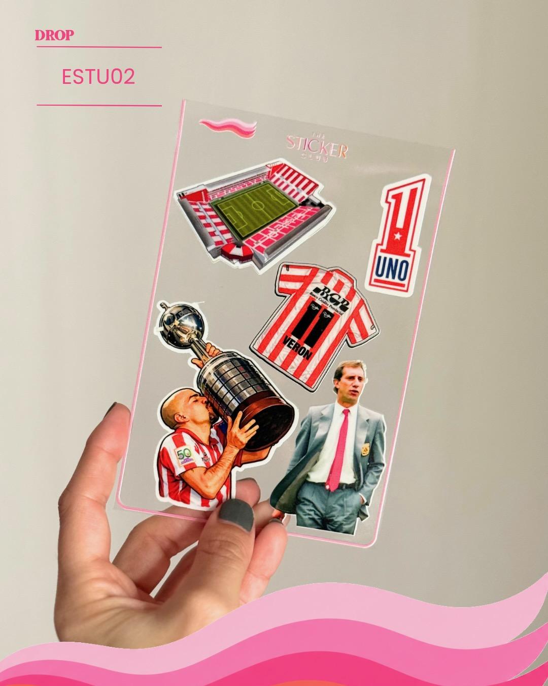 Plancha de stickers ESTU02