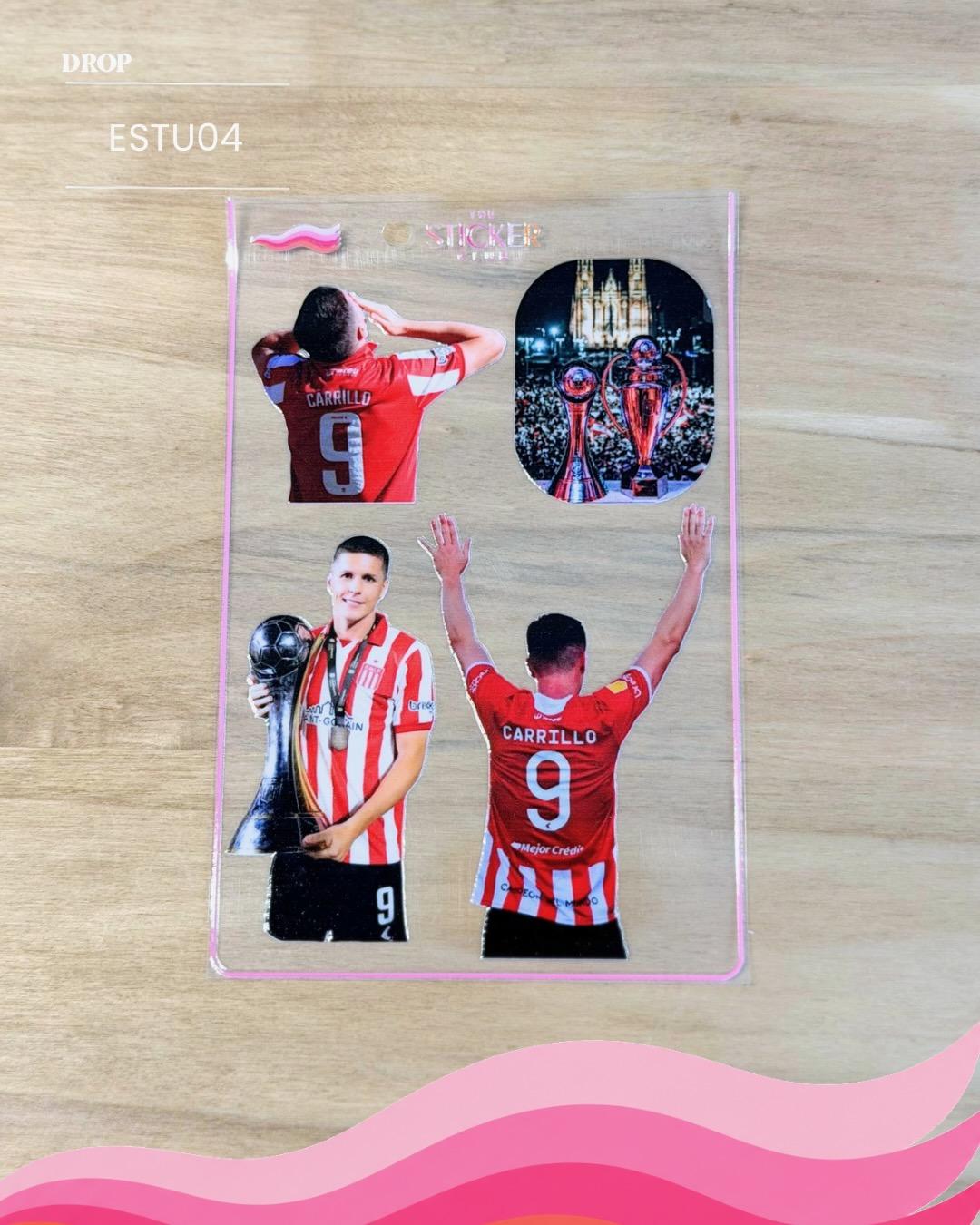 Plancha de stickers ESTU04