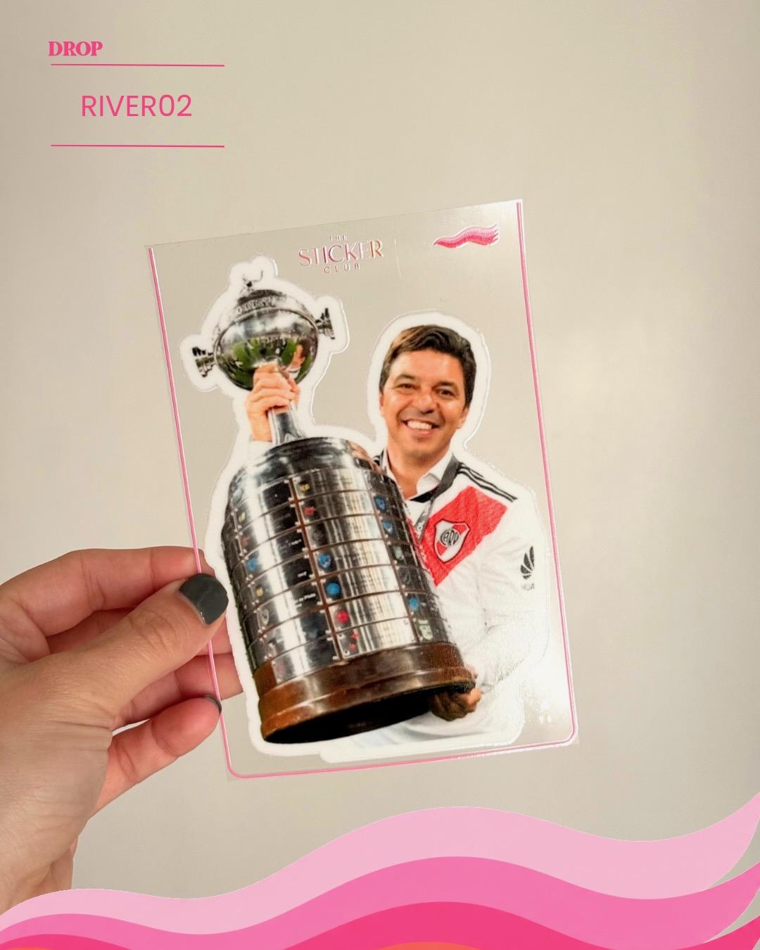 Plancha de stickers RIVER02
